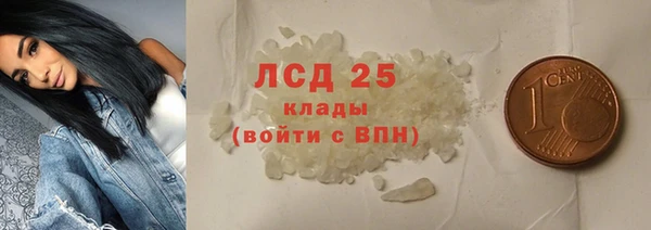 стаф Алексин