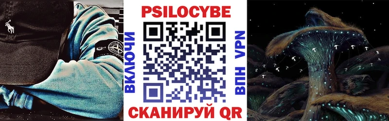 купить наркотик  Новозыбков  Галлюциногенные грибы прущие грибы 